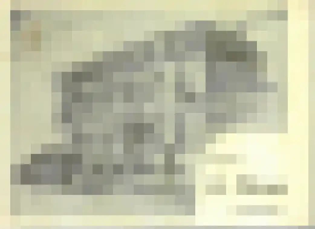 Lindenstraat 1 Vaals thumbnail 52