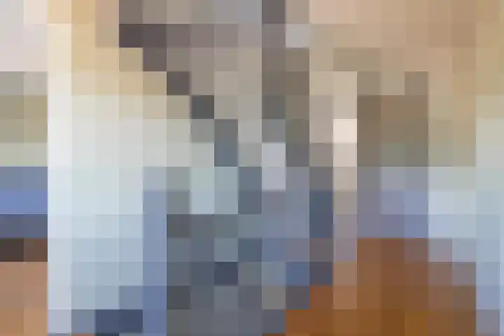 Lindenstraat 10 Berg en Terblijt thumbnail 12