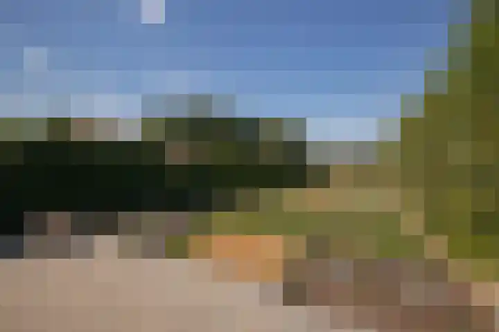 Lindenstraat 10 Berg en Terblijt thumbnail 19