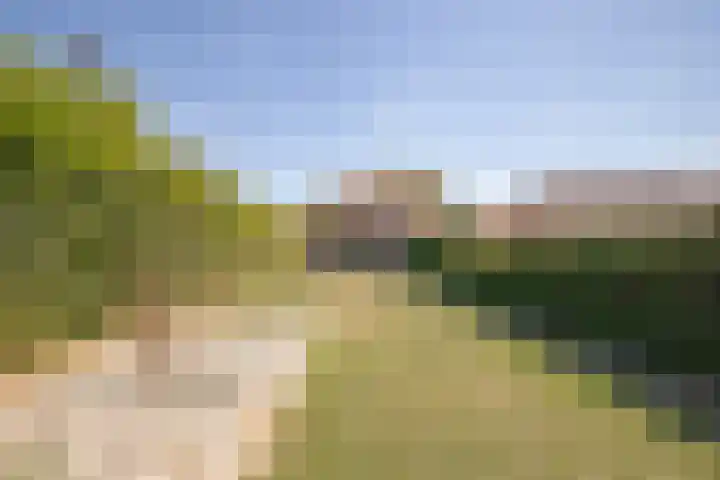 Lindenstraat 10 Berg en Terblijt thumbnail 20