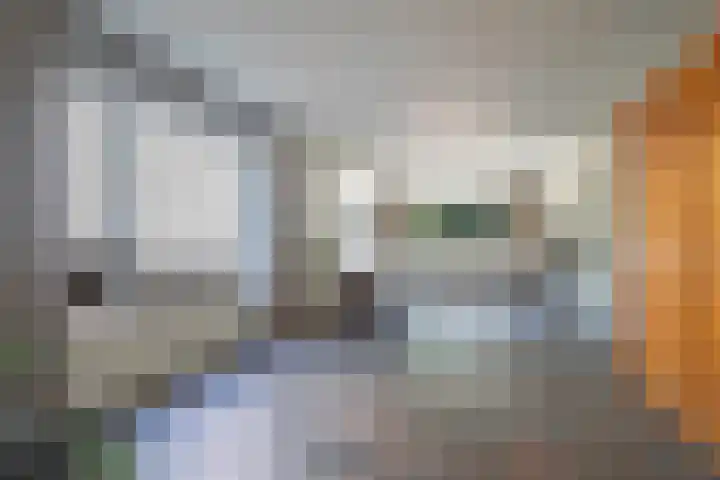 Lindenstraat 10 Berg en Terblijt thumbnail 6