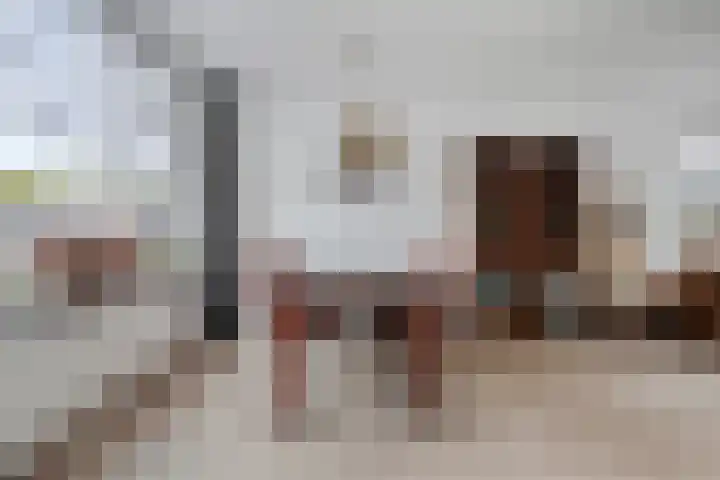 Lindenstraat 10 Brakel thumbnail 19