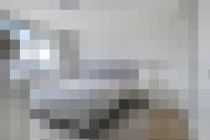 Lindenstraat 10 Brakel thumbnail 24