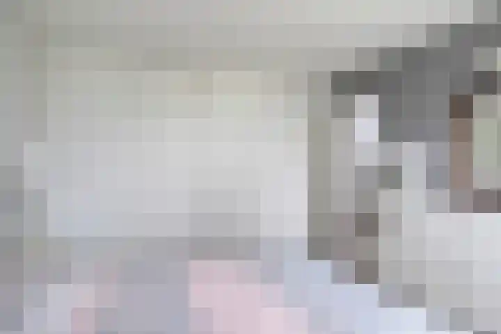 Lindenstraat 10 Brakel thumbnail 25