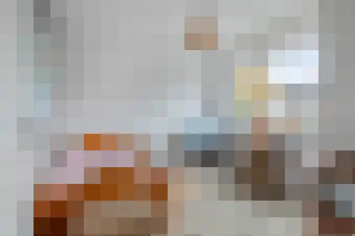 Lindenstraat 10 Brakel thumbnail 27