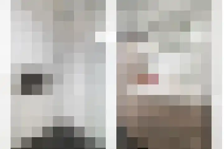 Lindenstraat 10 Brakel thumbnail 30