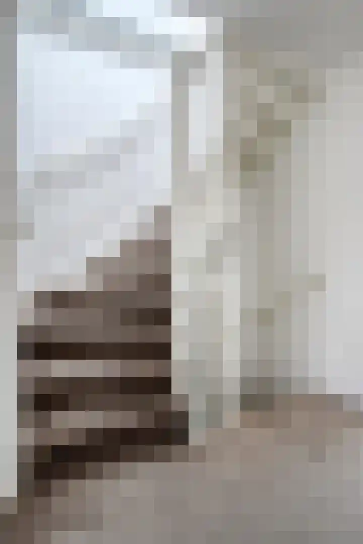 Lindenstraat 10 Brakel thumbnail 31