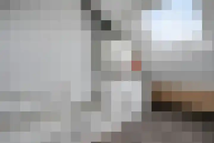 Lindenstraat 10 Brakel thumbnail 32