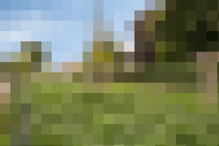 Lindenstraat 10 Brakel thumbnail 34