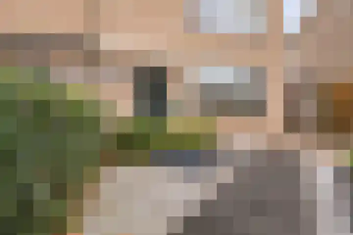 Lindenstraat 10 Brakel thumbnail 4