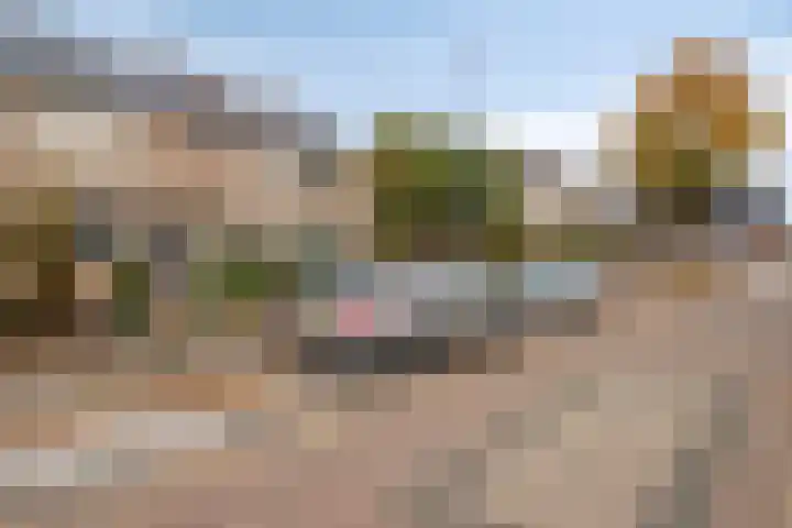 Lindenstraat 10 Brakel thumbnail 5