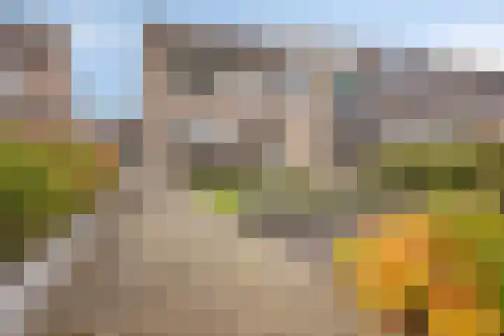 Lindenstraat 10 Brakel thumbnail 6