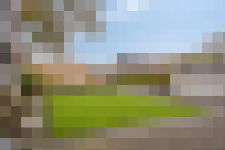 Lindenstraat 10 Brakel thumbnail 8