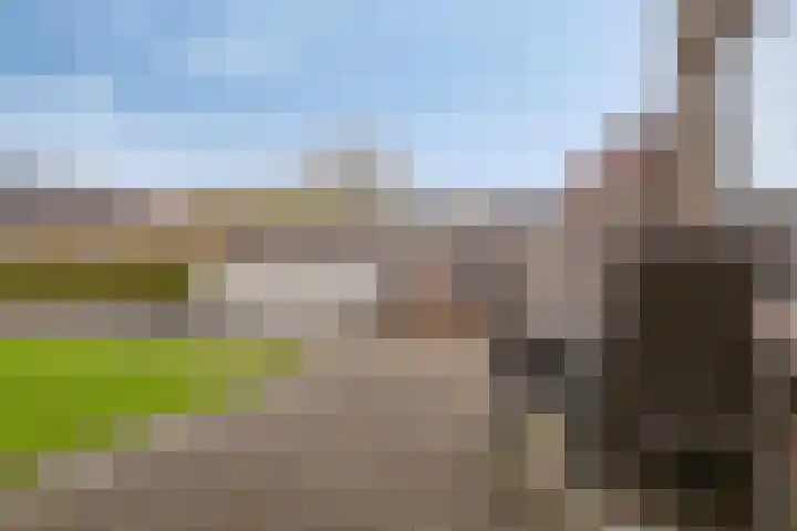 Lindenstraat 10 Brakel thumbnail 9