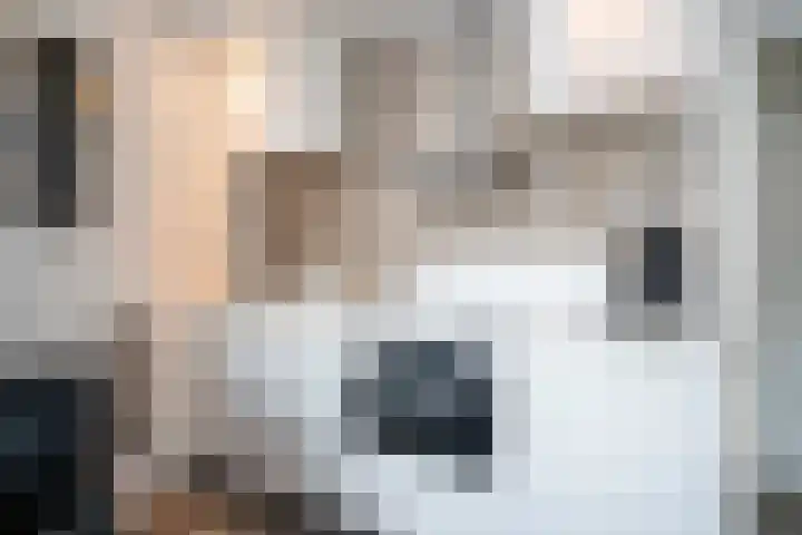 Lindenstraat 10 Dordrecht thumbnail 11