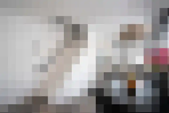 Lindenstraat 10 Dordrecht thumbnail 12