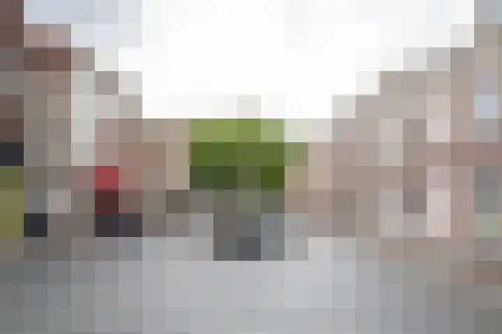 Lindenstraat 10 Dordrecht thumbnail 28