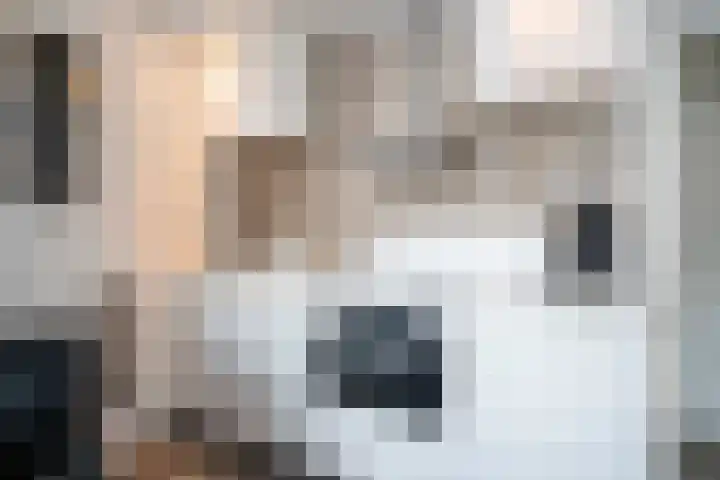 Lindenstraat 10 Dordrecht thumbnail 4
