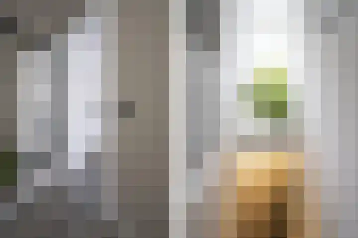 Lindenstraat 10 Dordrecht thumbnail 6