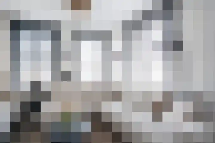Lindenstraat 10 Dordrecht thumbnail 8