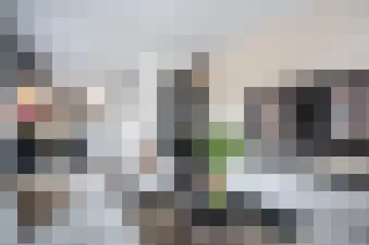 Lindenstraat 10 Dordrecht thumbnail 9