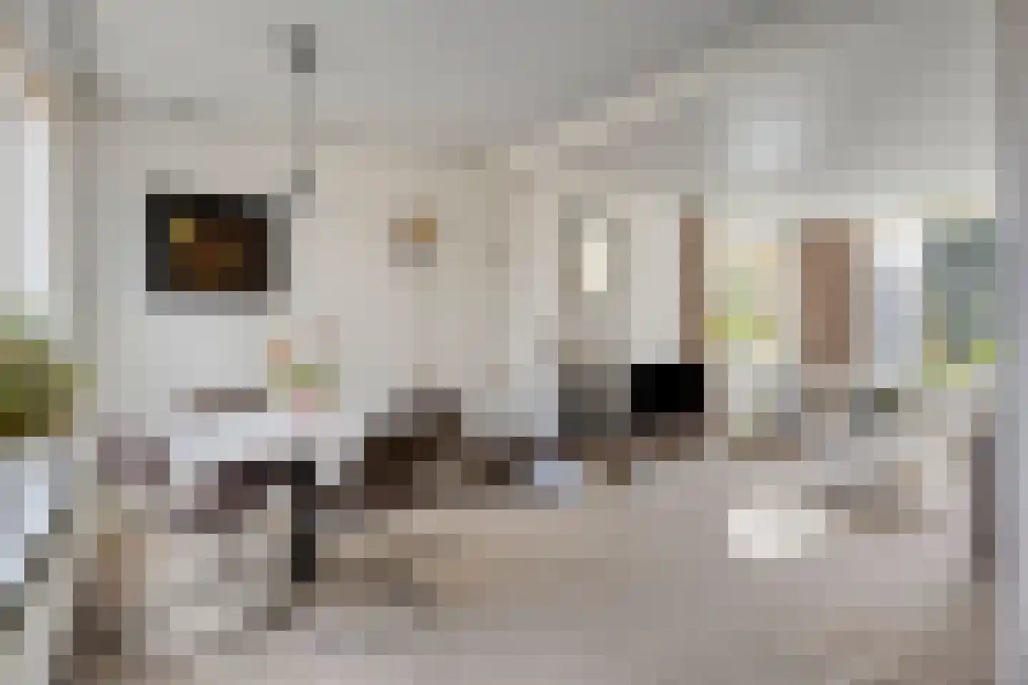 Lindenstraat 11 Abbekerk thumbnail 13
