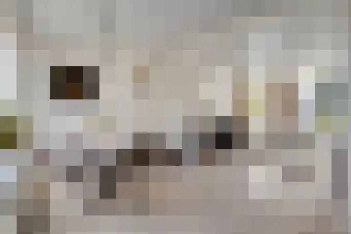 Lindenstraat 11 Abbekerk thumbnail 13