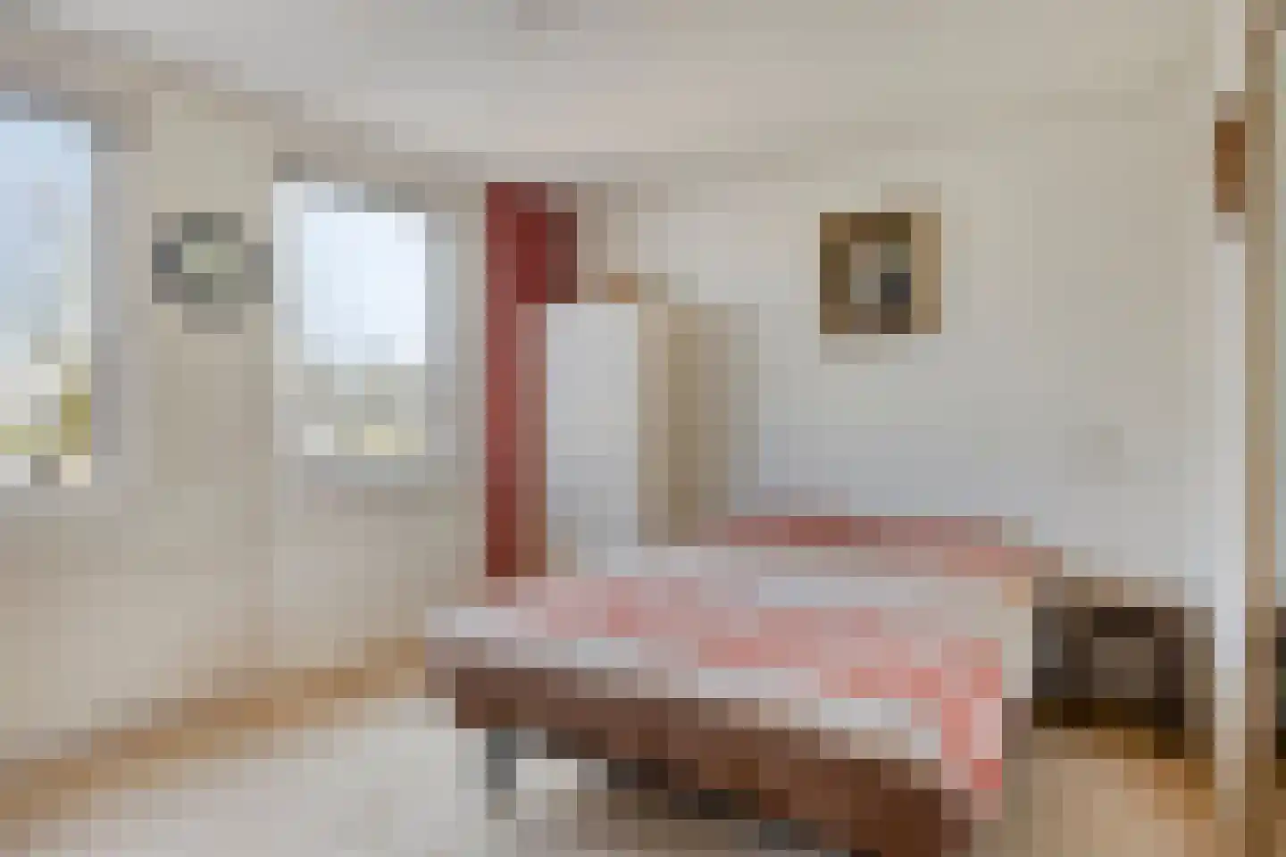 Lindenstraat 11 Abbekerk thumbnail 23