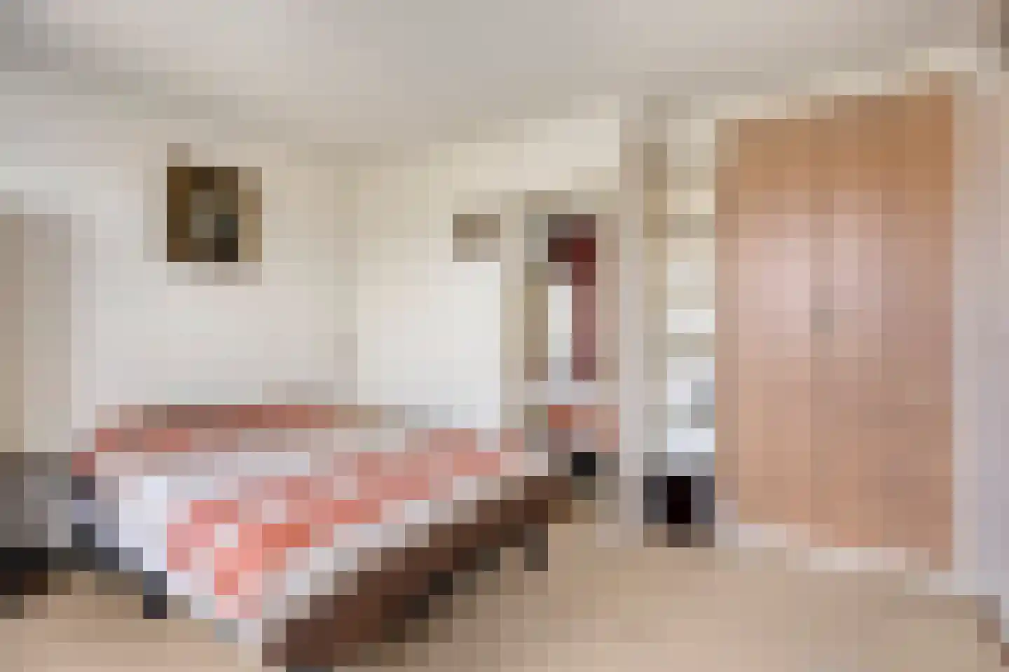 Lindenstraat 11 Abbekerk thumbnail 24