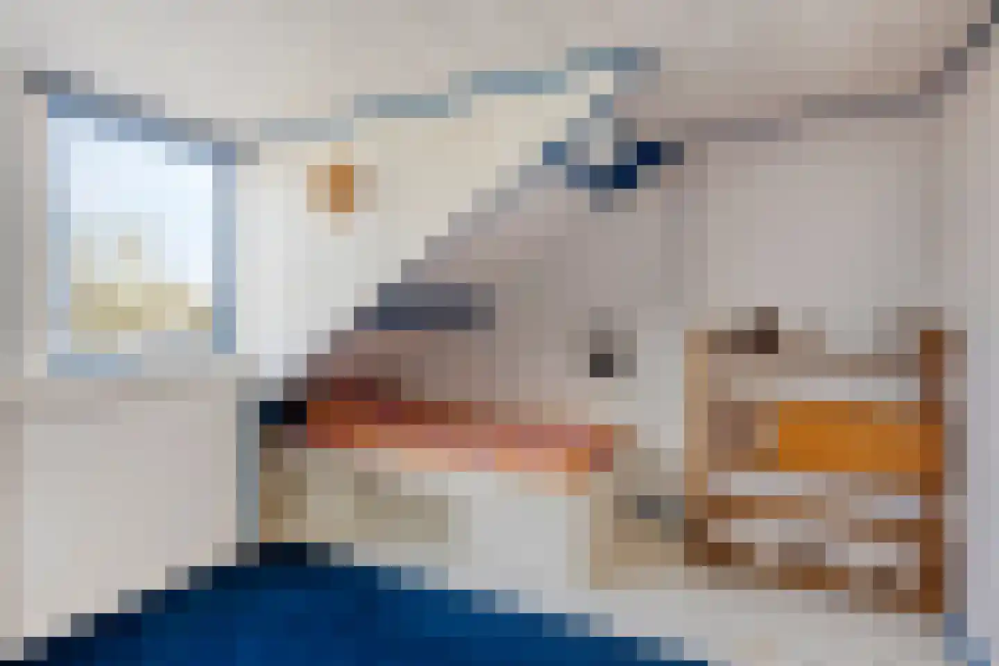 Lindenstraat 11 Abbekerk thumbnail 29