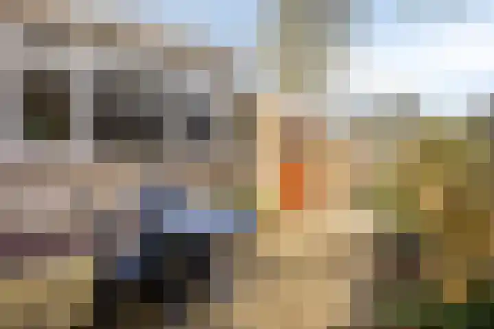 Lindenstraat 11 Abbekerk thumbnail 32