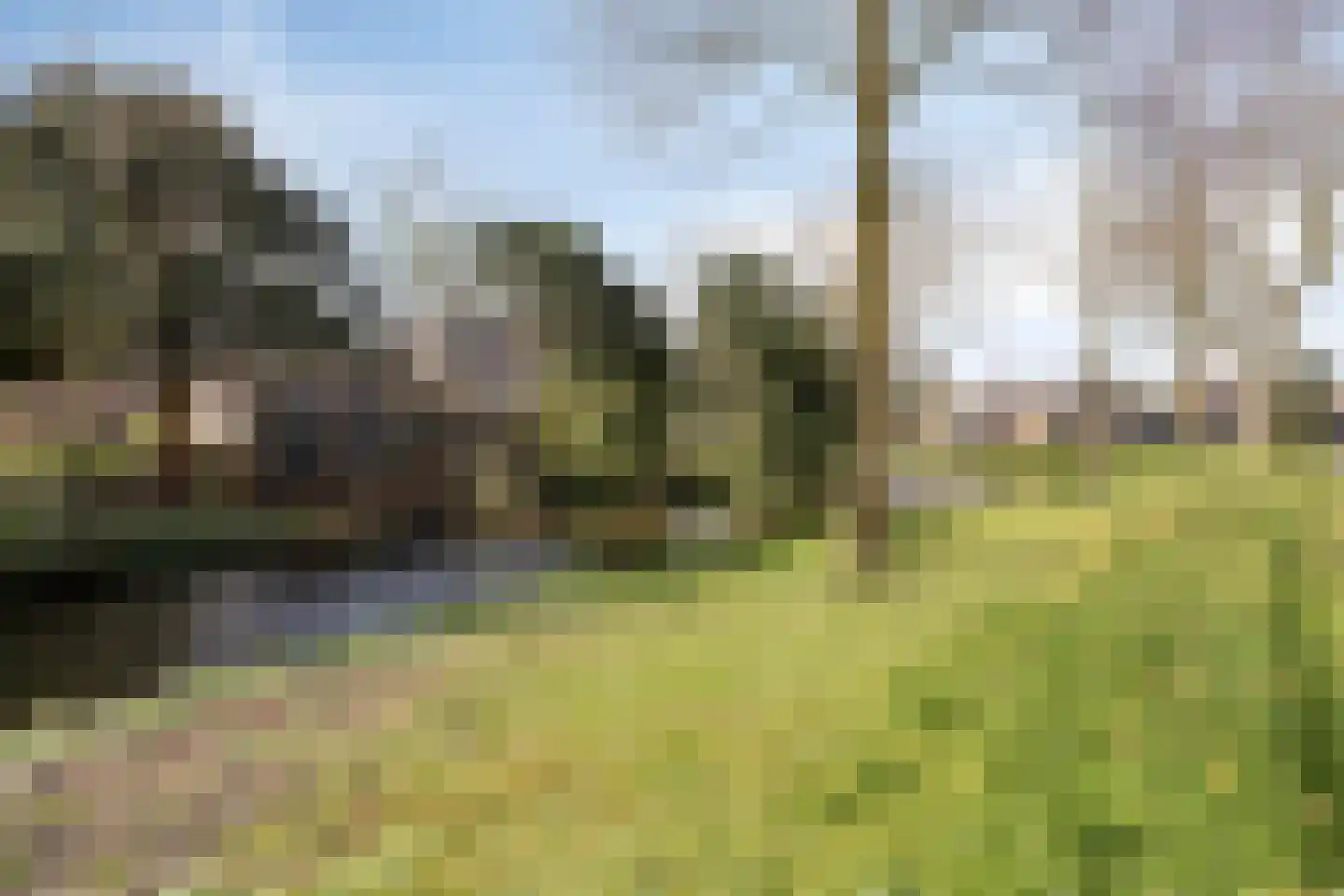 Lindenstraat 11 Abbekerk thumbnail 37