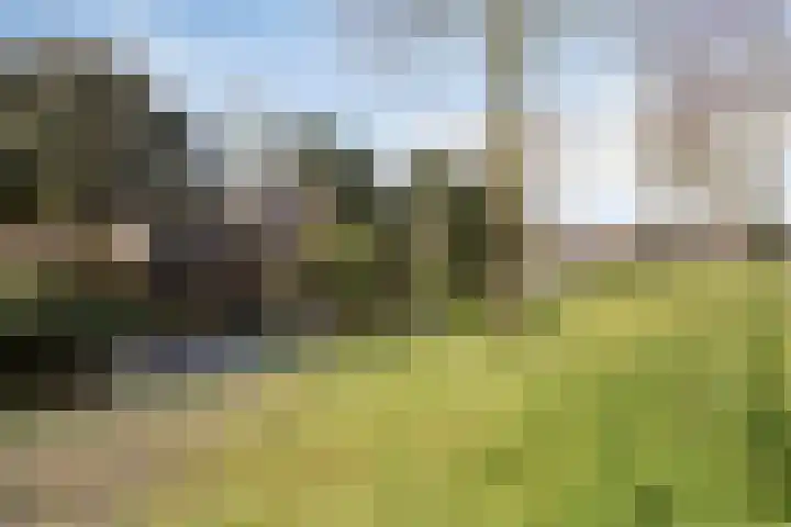 Lindenstraat 11 Abbekerk thumbnail 37