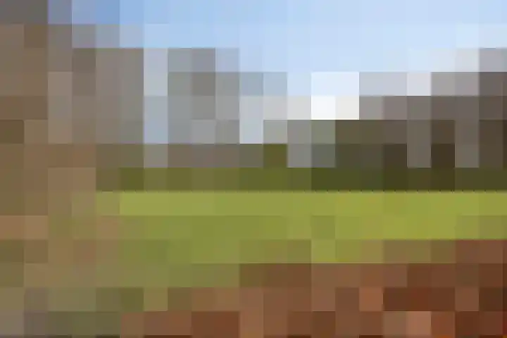 Lindenstraat 11 Abbekerk thumbnail 38