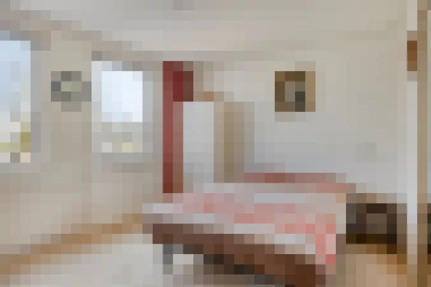 Lindenstraat 11 Abbekerk thumbnail 4