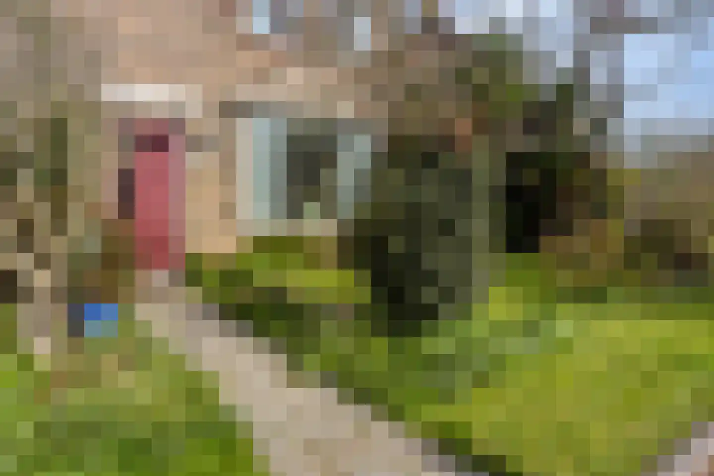 Lindenstraat 11 Abbekerk thumbnail 6