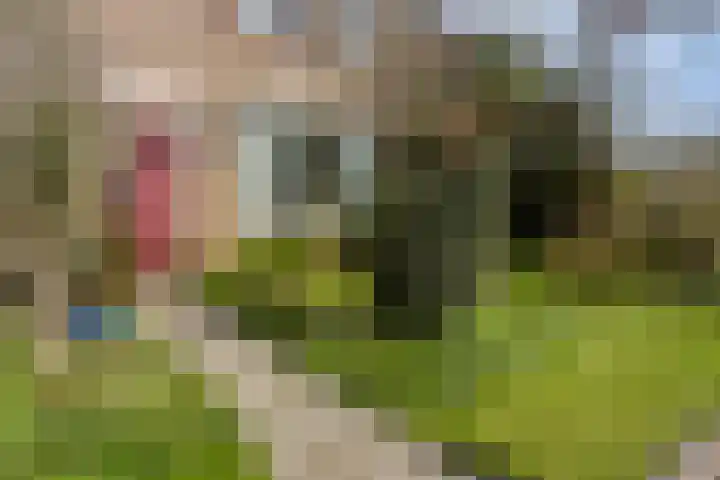 Lindenstraat 11 Abbekerk thumbnail 6