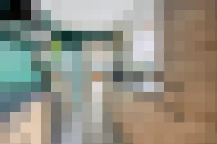 Lindenstraat 13 Tilburg thumbnail 13
