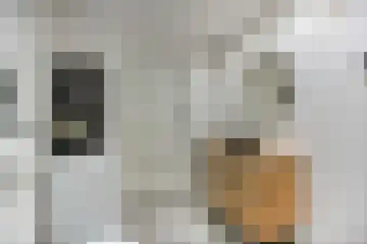 Lindenstraat 13 Tilburg thumbnail 17