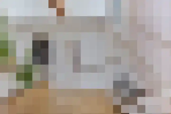 Lindenstraat 13 Tilburg thumbnail 21