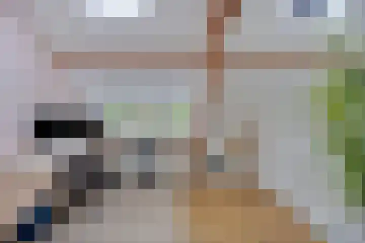 Lindenstraat 13 Tilburg thumbnail 22