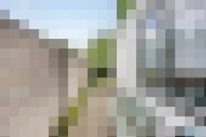 Lindenstraat 13 Tilburg thumbnail 27