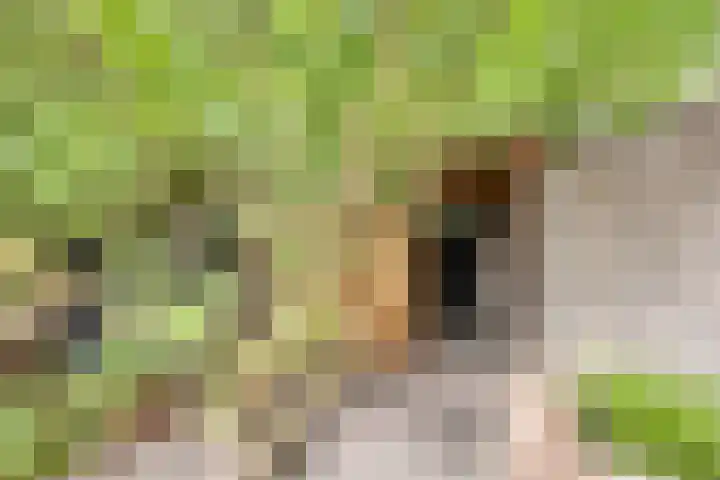 Lindenstraat 13 Tilburg thumbnail 28