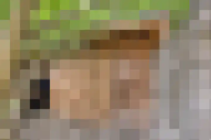 Lindenstraat 13 Tilburg thumbnail 29
