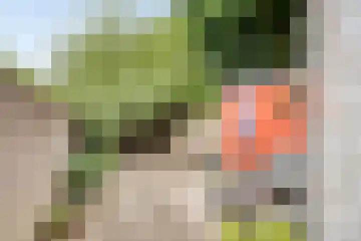 Lindenstraat 13 Tilburg thumbnail 30
