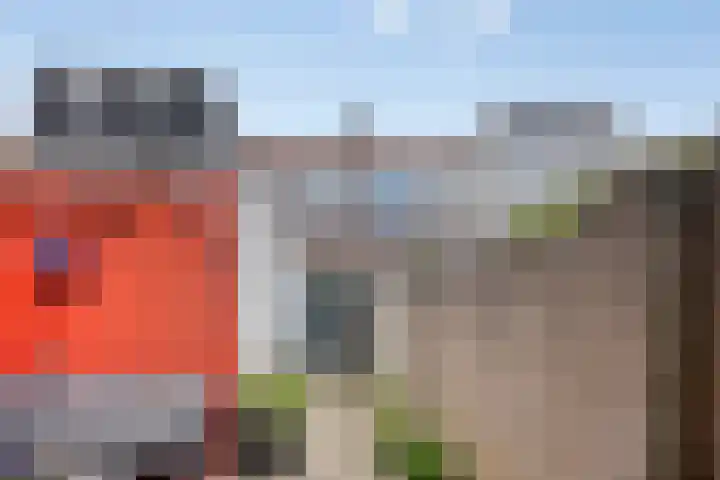 Lindenstraat 13 Tilburg thumbnail 32