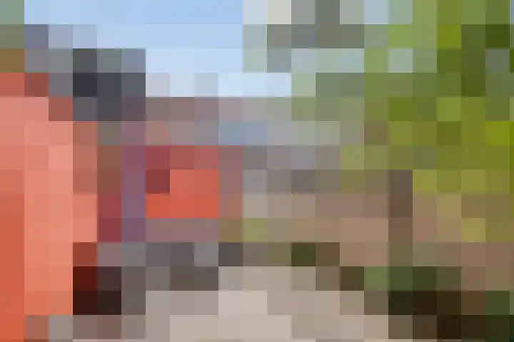 Lindenstraat 13 Tilburg thumbnail 33