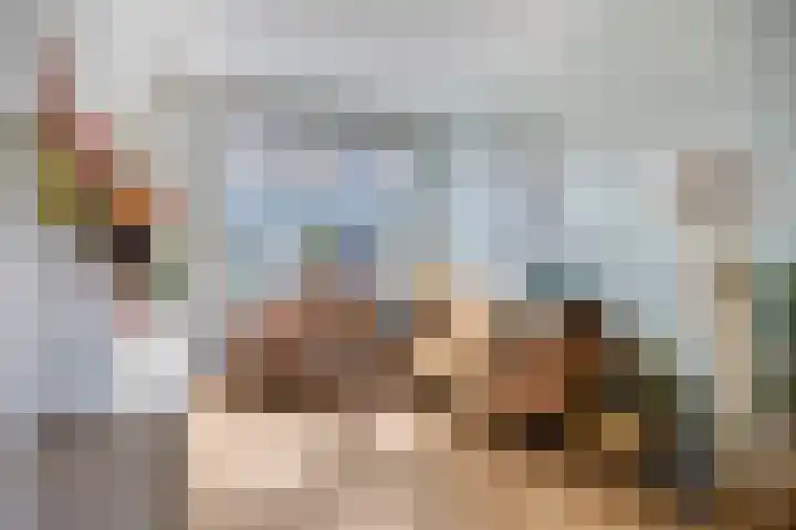 Lindenstraat 13 Tilburg thumbnail 6