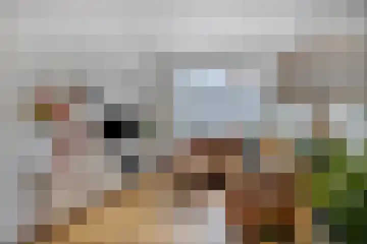 Lindenstraat 13 Tilburg thumbnail 7