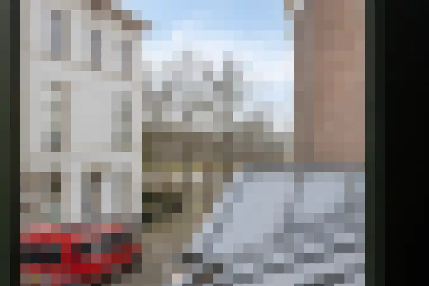 Lindenstraat 14 Deventer thumbnail 22